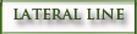 Lateral Line