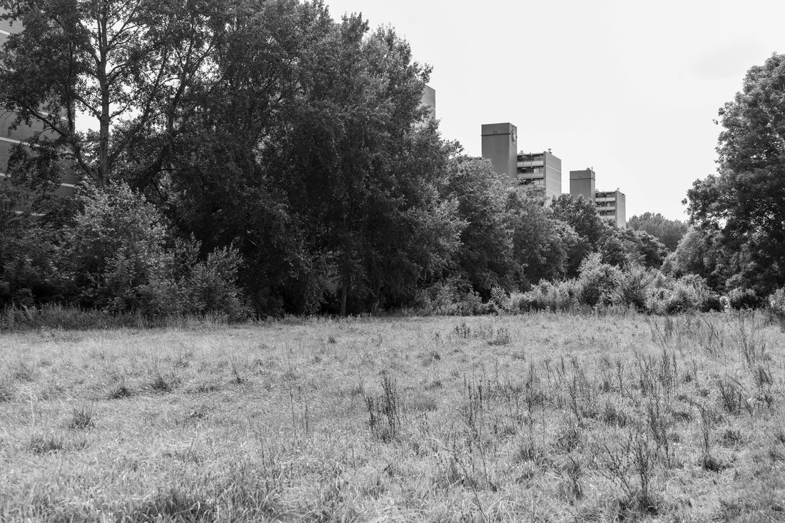 From the series The Edges of the City