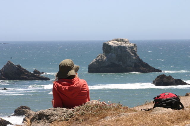 Still Point Reyes, gazing over the Pacific