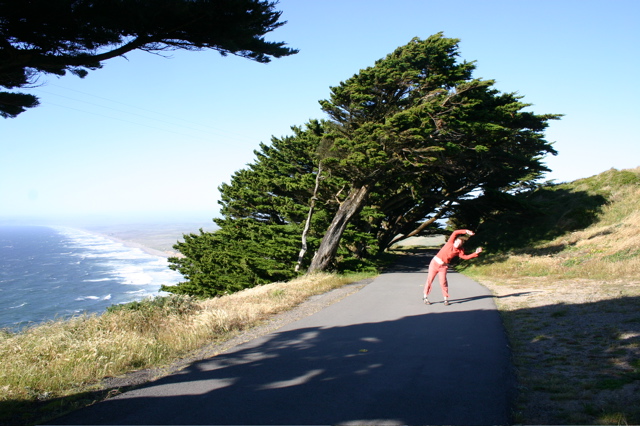 At Point Reyes, "the windiest spot of the pacific coast"