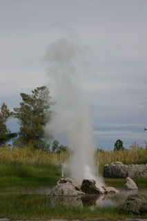 "The old faithful geyser of California"